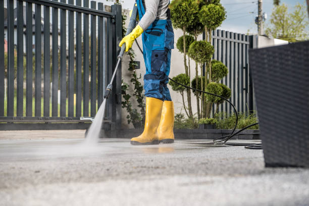 Best Graffiti Removal  in Edgewood, FL